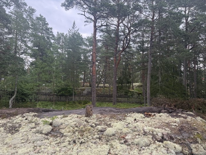 Site & Brygga